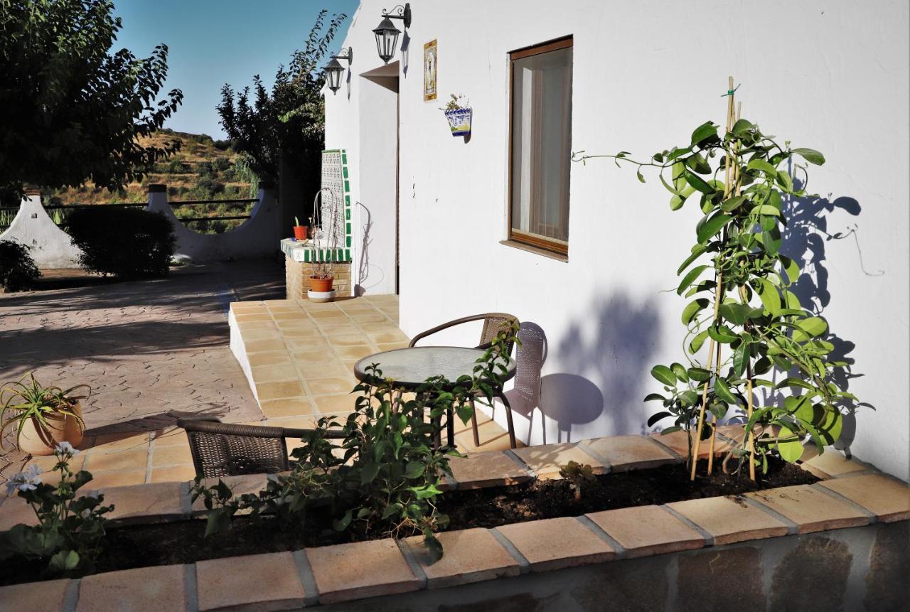Finca La Meica Bed&Breakfast Casabermeja Ngoại thất bức ảnh
